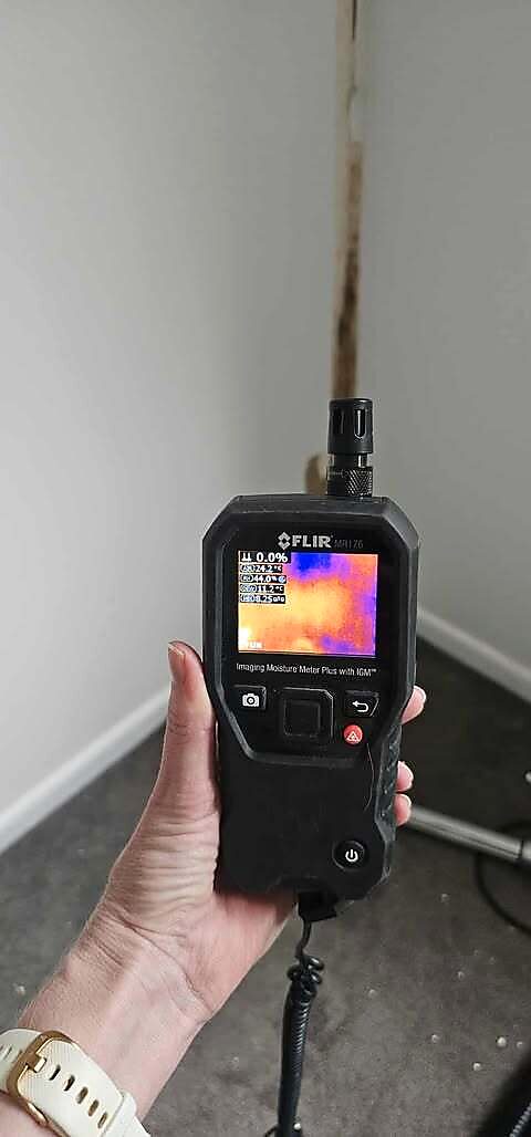 Thermal moisture inspection for mould, Brisbane homeowners and insurers
